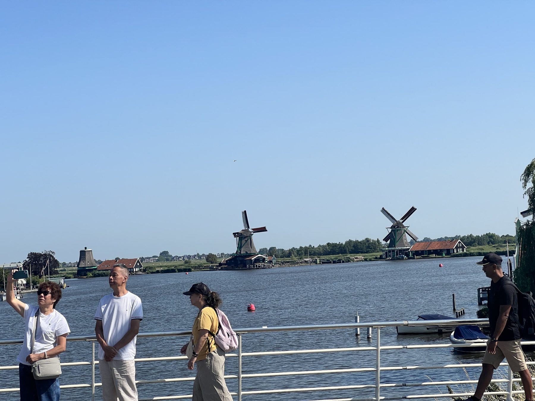Morning postcard mode—Holland doing the windmill thing across the water while we pretended we were not tourists. (We were.)
